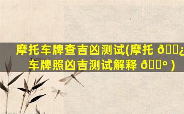 摩托车牌查吉凶测试(摩托 🌿 车牌照凶吉测试解释 🐺 )